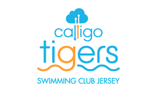 tigers Logo