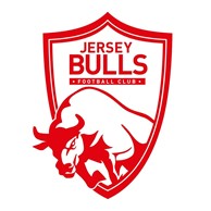jersey bulls Logo
